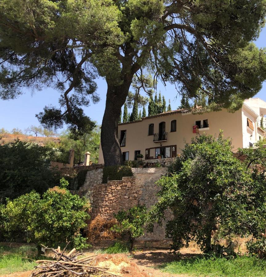 Cortijo El Pino Retreat Bed & Breakfast Albuñuelas Eksteriør bilde
