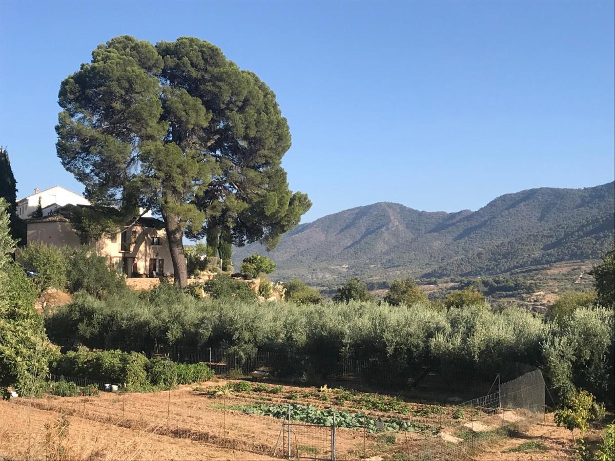 Cortijo El Pino Retreat Bed & Breakfast Albuñuelas Eksteriør bilde